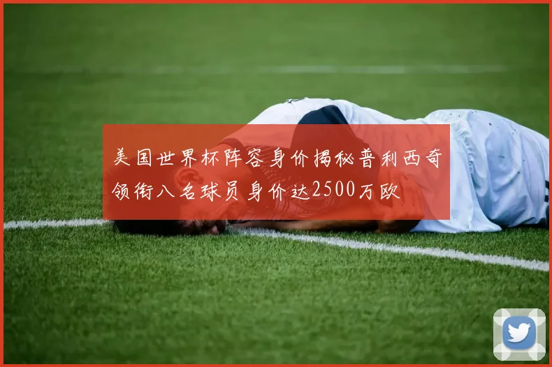 美国世界杯阵容身价揭秘普利西奇领衔八名球员身价达2500万欧