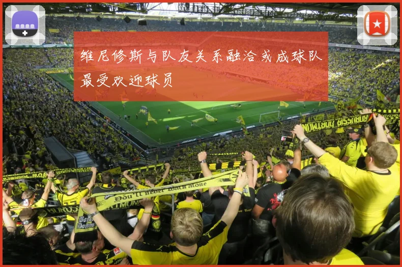维尼修斯与队友关系融洽或成球队最受欢迎球员